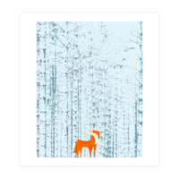 Fox Lost In The Woods (Print Only)