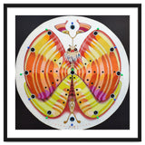 Clock butterfly thumbnail