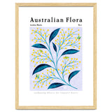 Australian Flora: Golden Wattle thumbnail