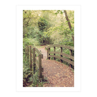Path To The Bridge (Print Only)