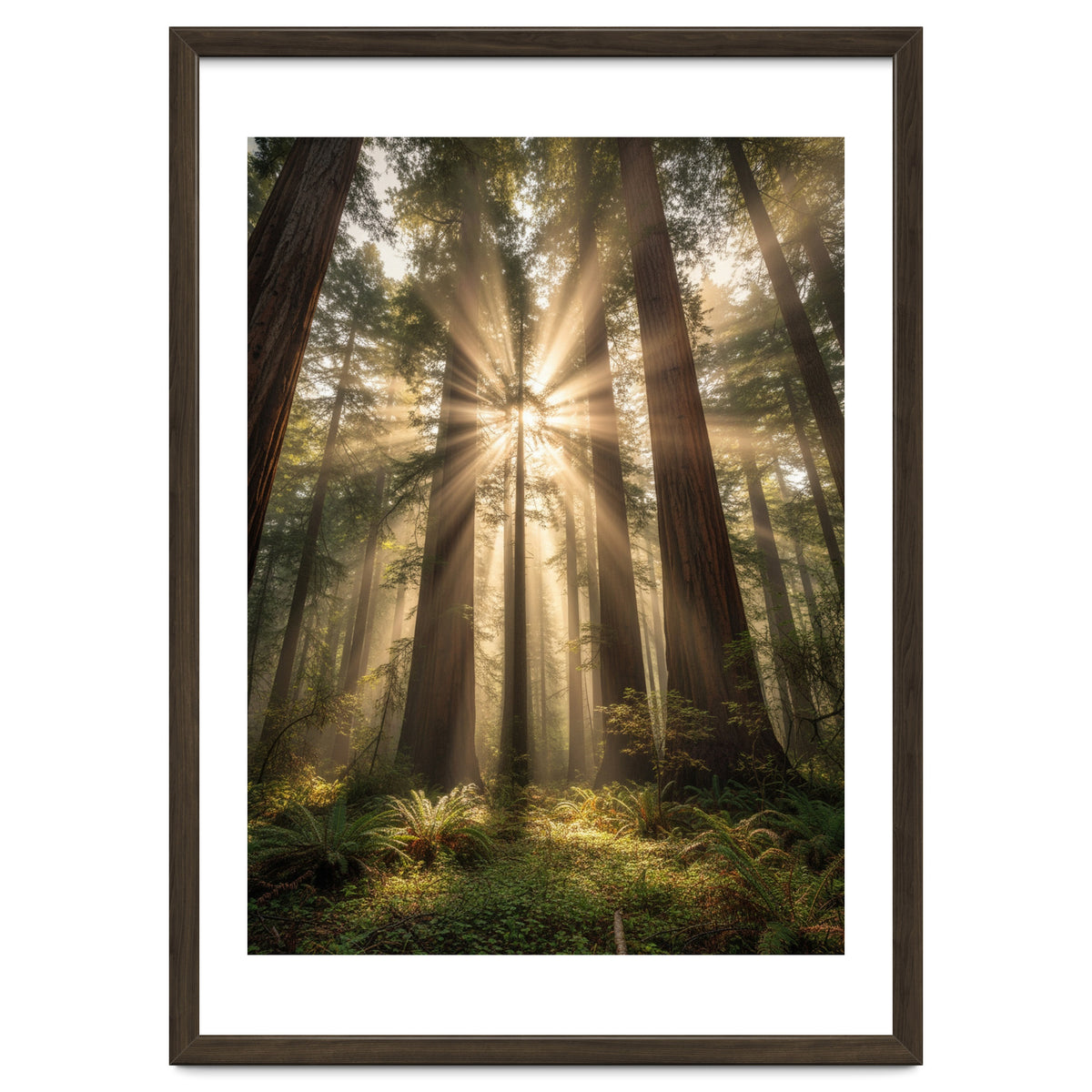 Ethereal Redwood Sanctuary: Sunbeams in the Ancient Forest