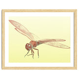 Wings of Transformation thumbnail