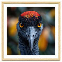 Close Up Of A Strikingly Beautiful Bird Face