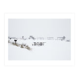 Tables and benches in a snow-covered park (Print Only) thumbnail