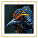 Close Up Of A Colorful Bird Head And Eye thumbnail