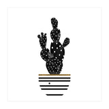 Black Cactus (Print Only) thumbnail
