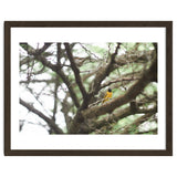 Mini sun thumbnail