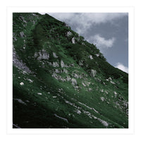 SKIN OF NATURE - WILD CLIFF (Print Only)