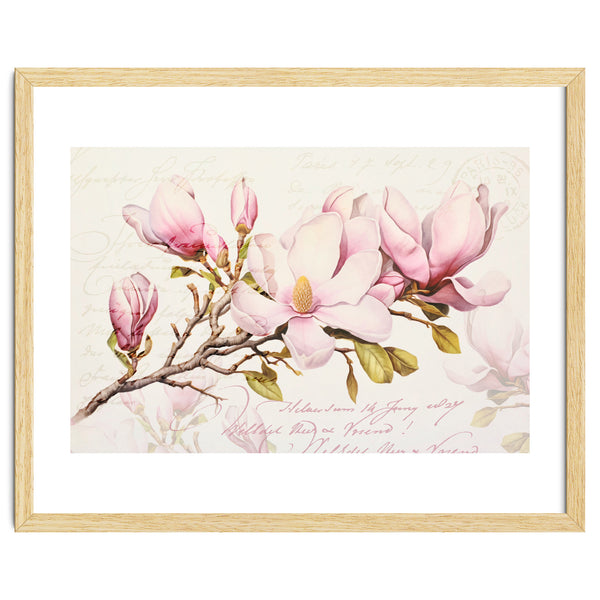 Magnolia Spring Romance Pink