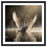 Graceful Swan Spreading Wings On Sparkling Water thumbnail