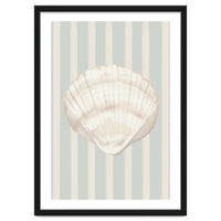 Sea shell