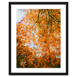 Autumn Leaves thumbnail