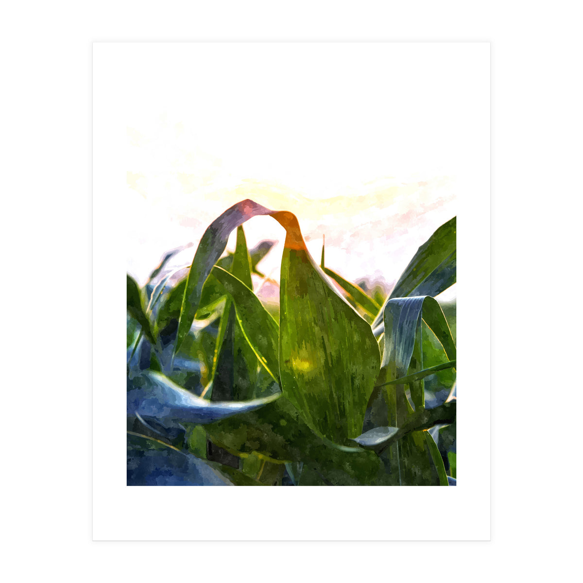 Hope With Abstraction (Print Only)