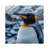 King Penguin In The Snow With Frosty Head (Print Only) thumbnail