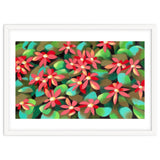 Red flowers thumbnail