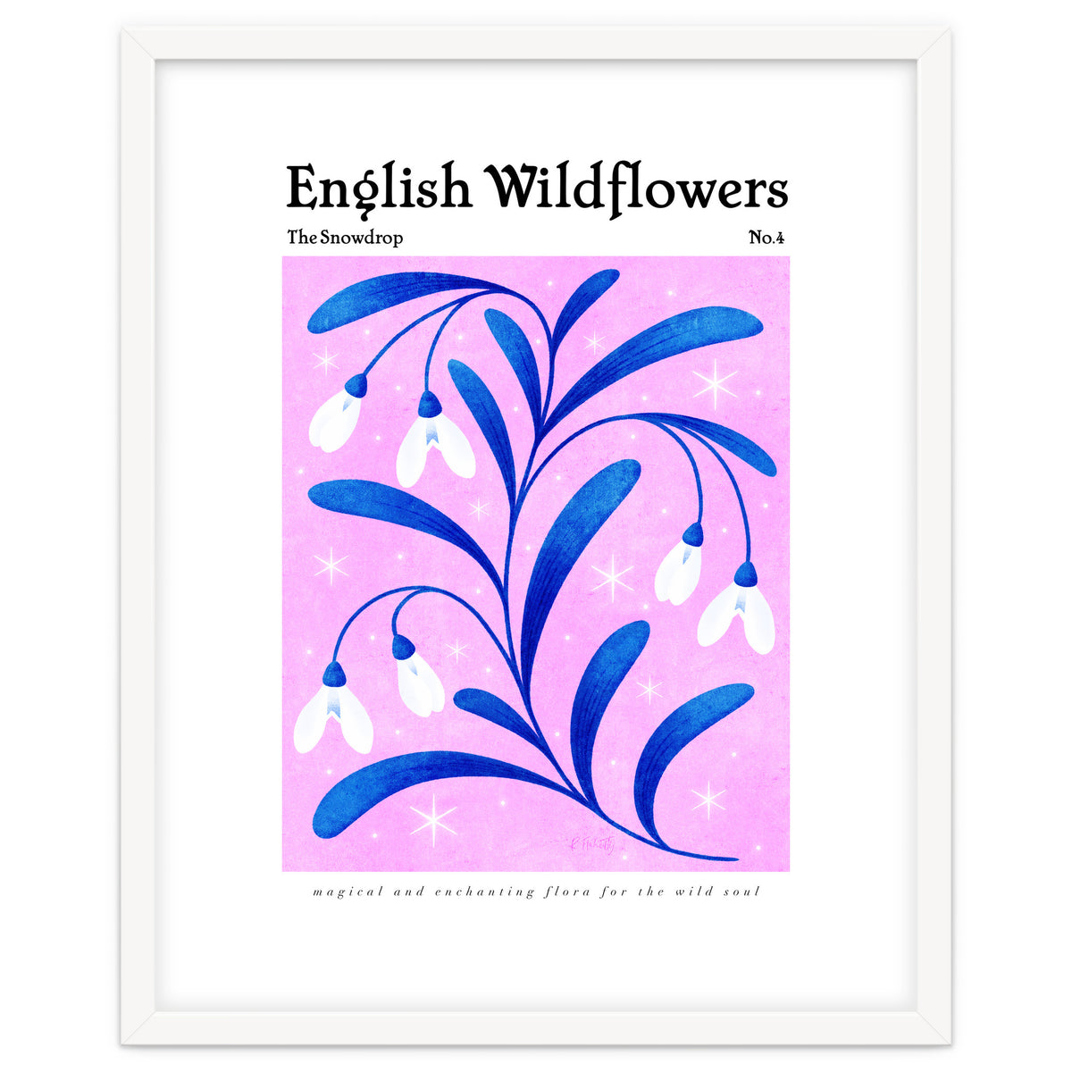 English Wildflowers | Snowdrops