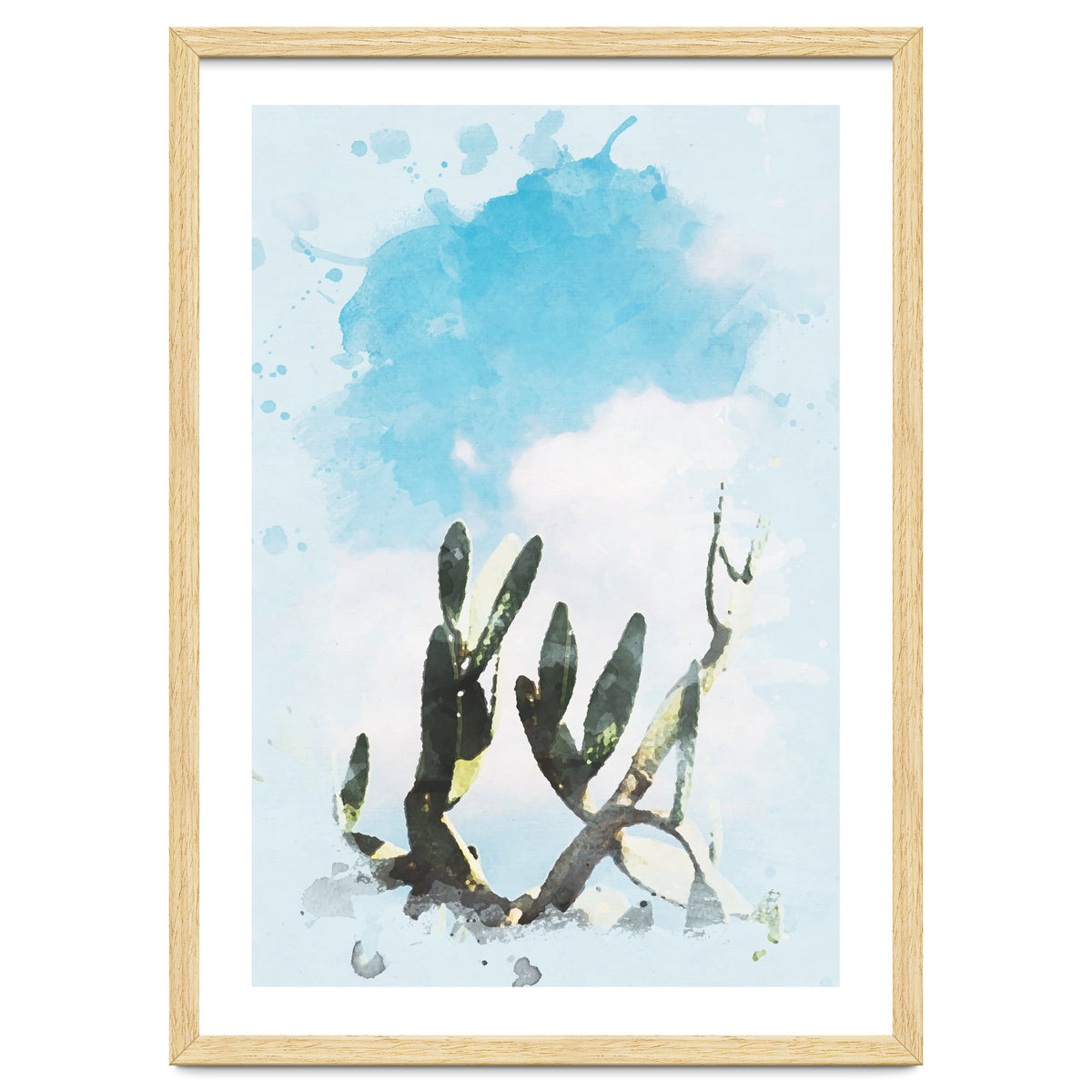 Cactus & Sky