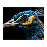 Close Up Of A Peacock Bird Head Eye (Print Only)