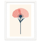 Pink Half Poppy thumbnail