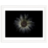 Backyard Flowers No 27 Color Version thumbnail