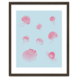 Jellyfish thumbnail