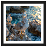 Seagull Standing On Rocks Near Water thumbnail