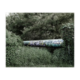 Graffiti pipe among the summer forest (Print Only) thumbnail