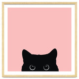 Black cat thumbnail