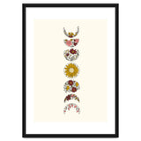 Floral Phases Of The Moon thumbnail