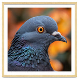 Close Up Of A Pigeon's Head And Neck thumbnail