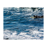 Forward (Print Only) thumbnail
