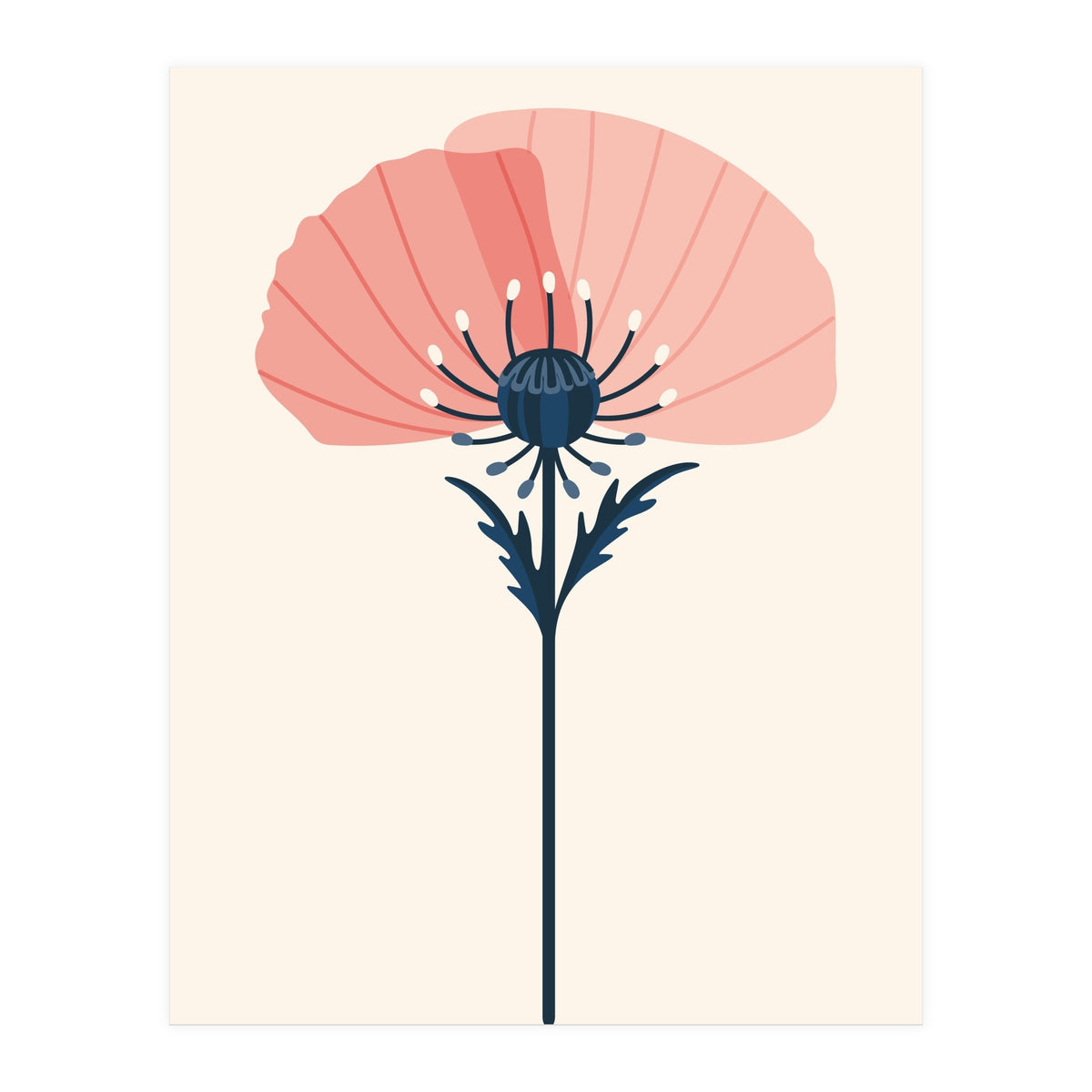 Pink Half Poppy (Print Only)