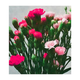 Watercolor Still Life (Print Only) thumbnail