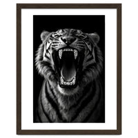 Roaring Tiger portrait