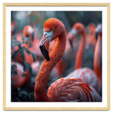 Beautiful Close Up Of A Pink Flamingo Bird thumbnail