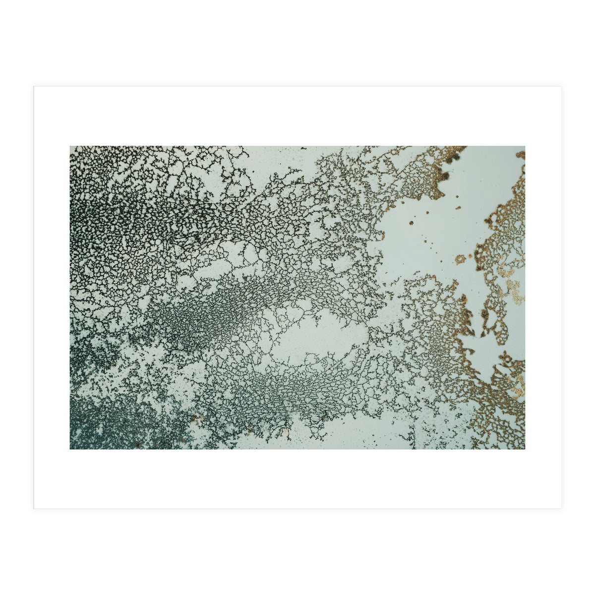 Synchronize (Print Only)