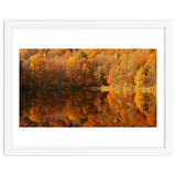 Autumn Reflections thumbnail