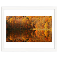 Autumn Reflections