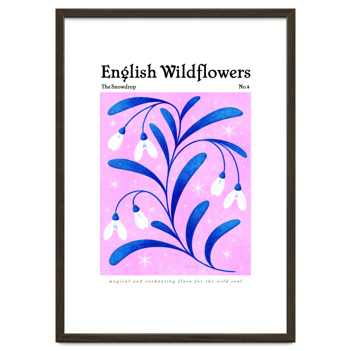 English Wildflowers | Snowdrops