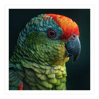 Close Up Colorful Parrot Bird Feather (Print Only)