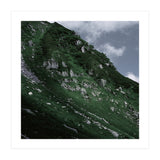 SKIN OF NATURE - WILD CLIFF (Print Only) thumbnail