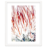 Delicate Florals thumbnail