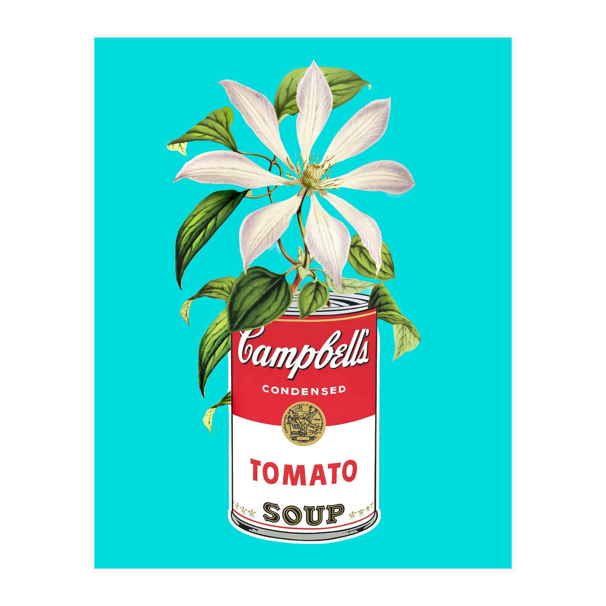 Floral Campbells (Print Only)