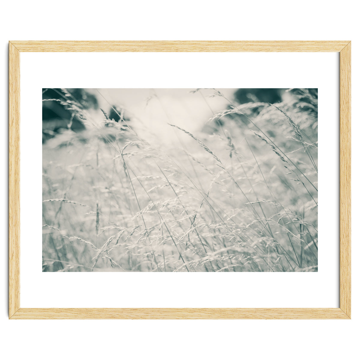 Walking Through Long Grass
