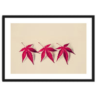 Dancing Leaves
