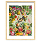 Toucan vintage jungle thumbnail