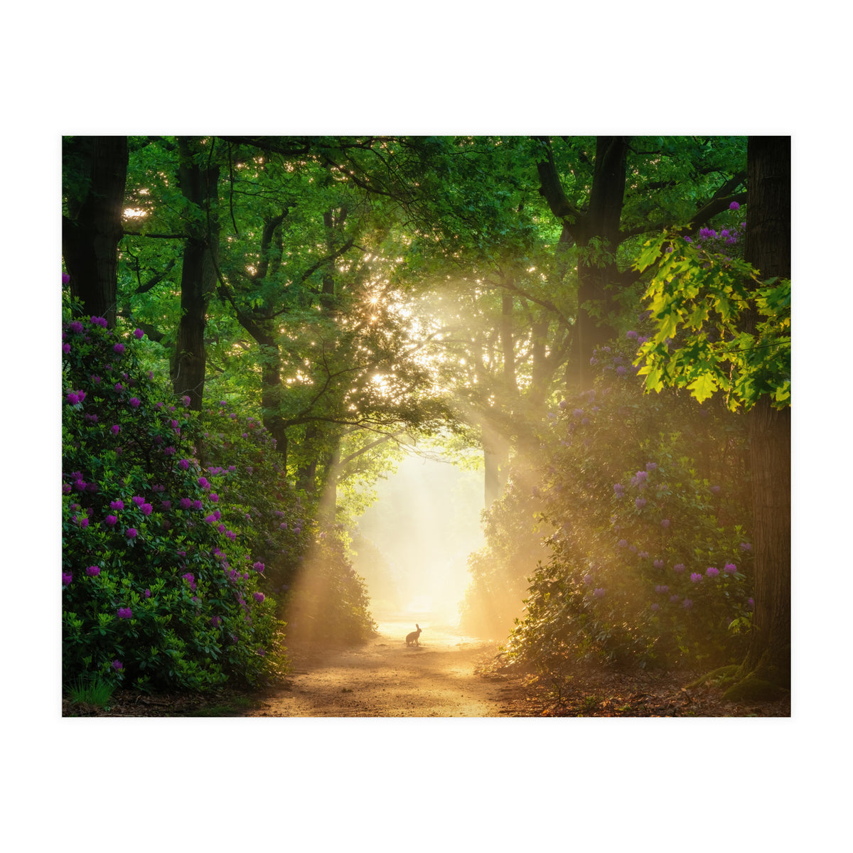 Hare in paradise (Print Only)