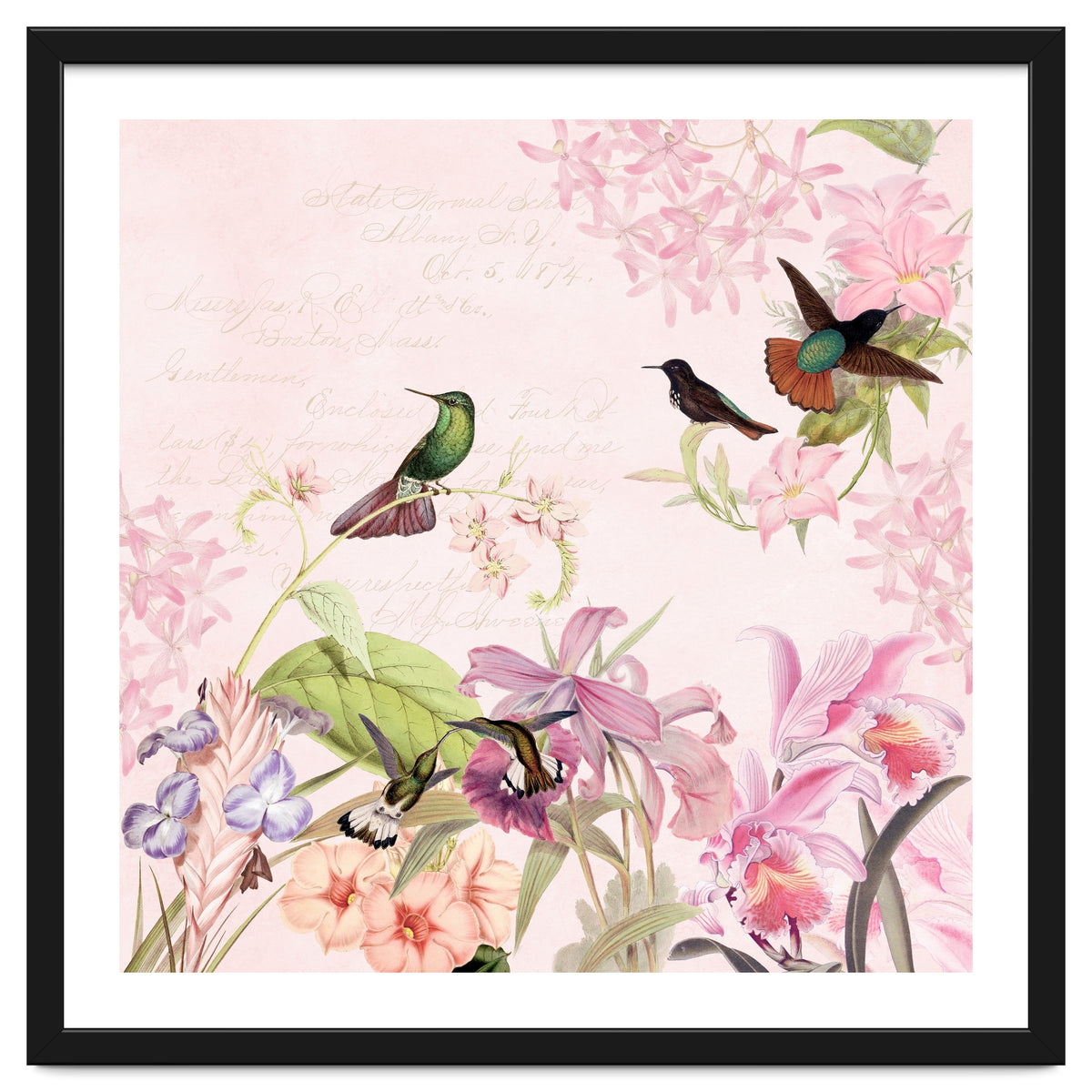 Hummingbirds in Flower Jungle