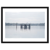 Birds rest in the Lake thumbnail