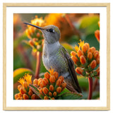 Hummingbird Perched On Orange Flowers thumbnail